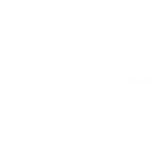 Evolution oyun sağlayıcısının logosu